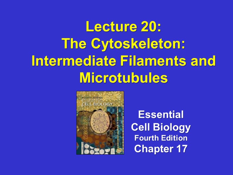 Lecture 20: The Cytoskeleton: Intermediate Filaments and Microtubules  Essential Cell Biology Fourth Edition